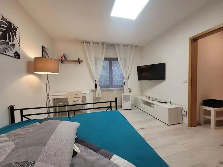 Souterrainwohnung Viernheim Apartment